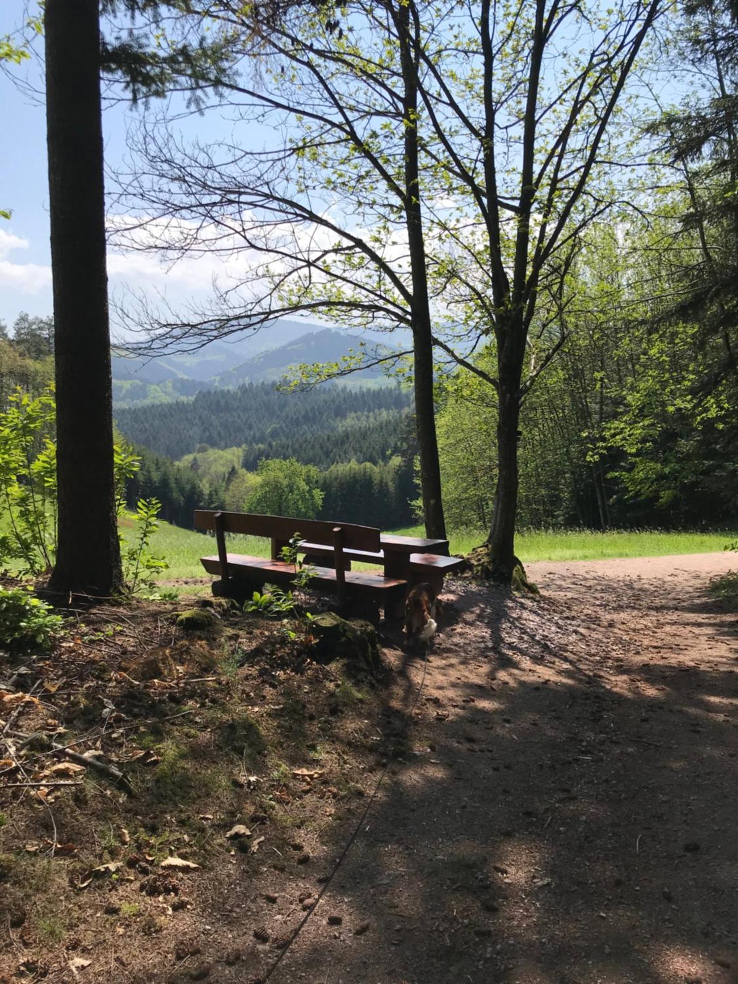 Ferienwohnung Hesselbach Oberkirch  Bagian luar foto