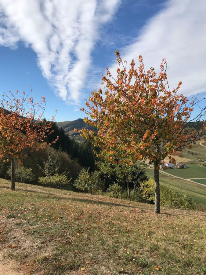 Ferienwohnung Hesselbach Oberkirch  Bagian luar foto