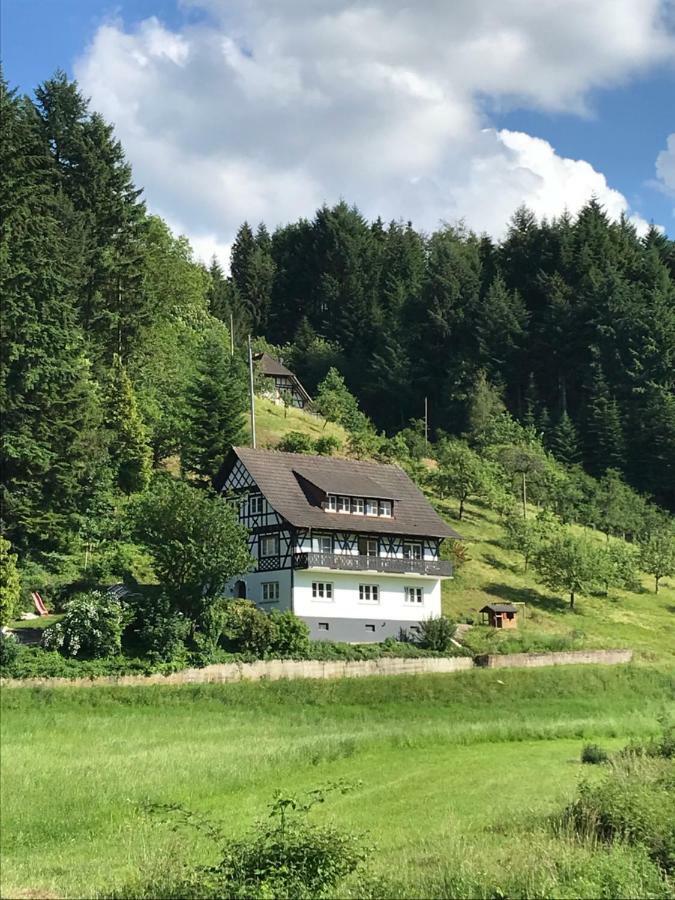 Ferienwohnung Hesselbach Oberkirch  Bagian luar foto